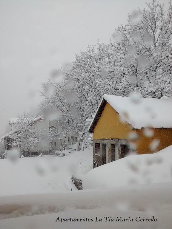 Tia Maria Bed & Breakfast Cerredo Eksteriør bilde